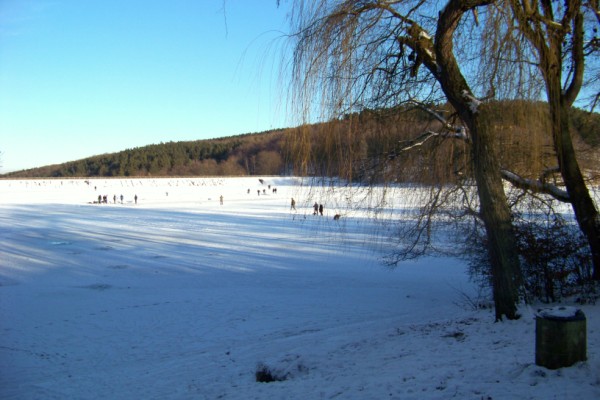 Winterbilder an der Steinbachtalsperre 029 (600 x 400)