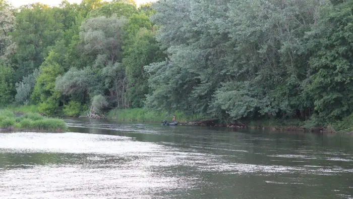 Altrhein bei Au am Rhein - Gewässerbild noch gesucht