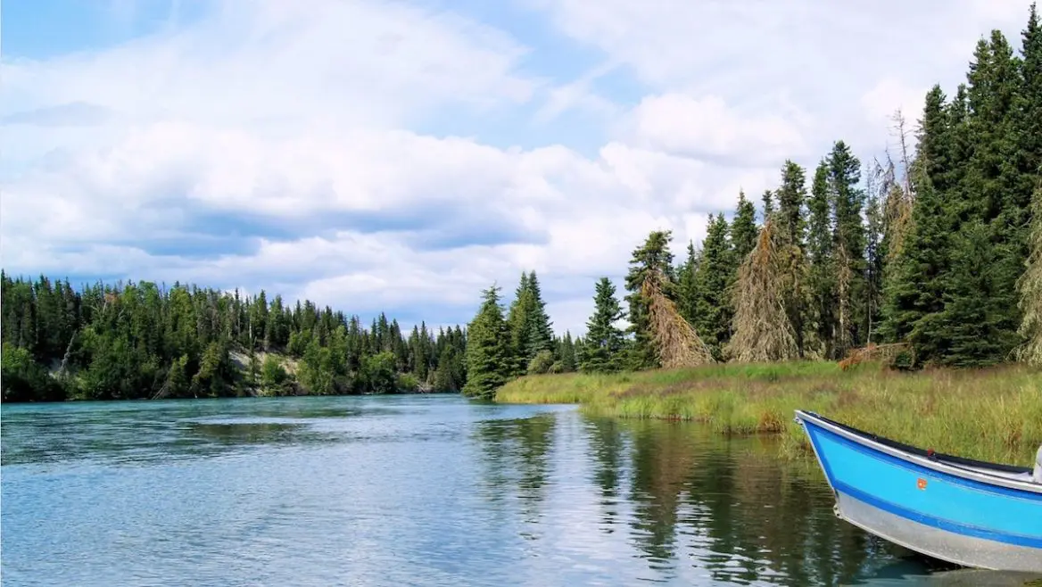 Angelurlaub am Kenai River