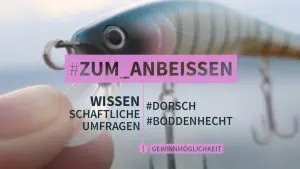 Umfrage Dorsch&Boddenhecht