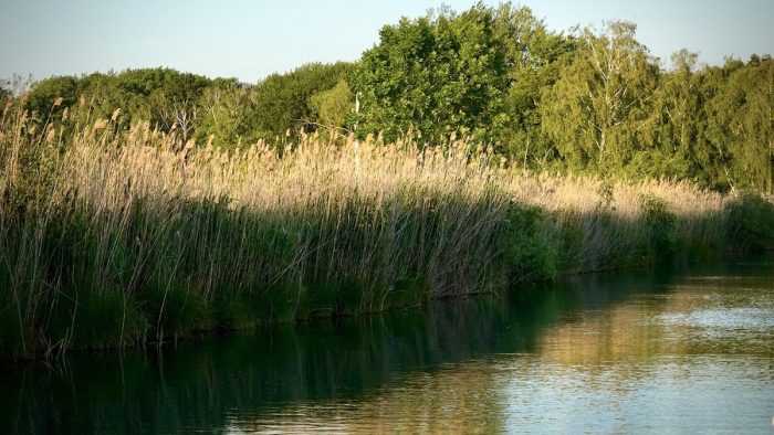 Neuenburgersee - Bild von pb