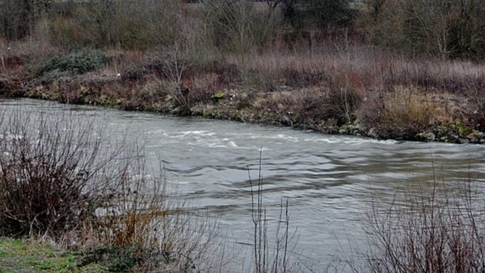 Neckar bei Wernau – Bild von qwesy qwesy, CC BY 3.0, via Wikimedia Commons, bearbeitet von fisch-hitparade.de