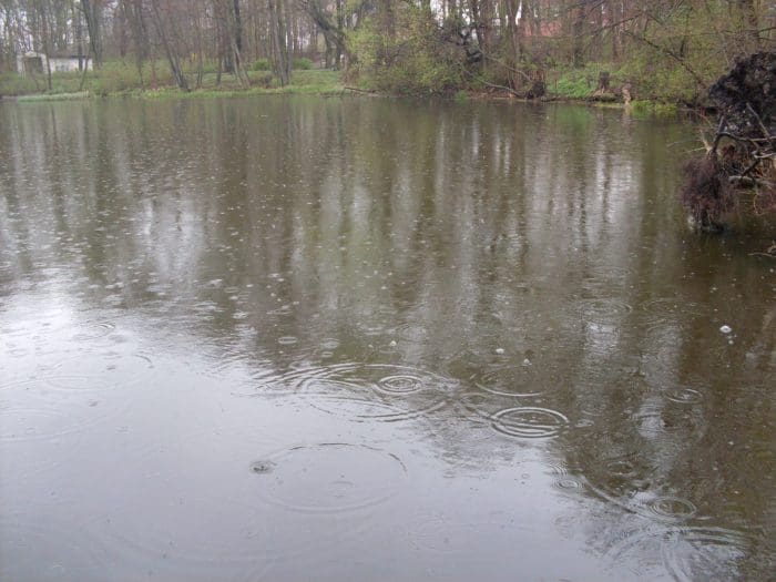 Lehnitzsee - Bild von Panke