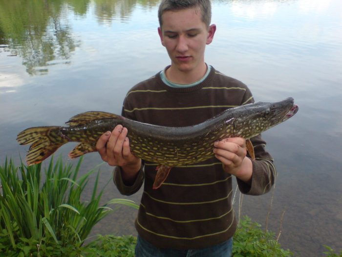 Stadtweiher bei Leutkirch im Allgäu - Bild von raphi Angler 