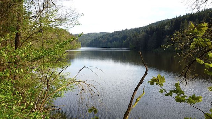 Höllensteinsee – Bild von Rosa-Maria Rinkl, CC BY-SA 4.0, via Wikimedia Commons