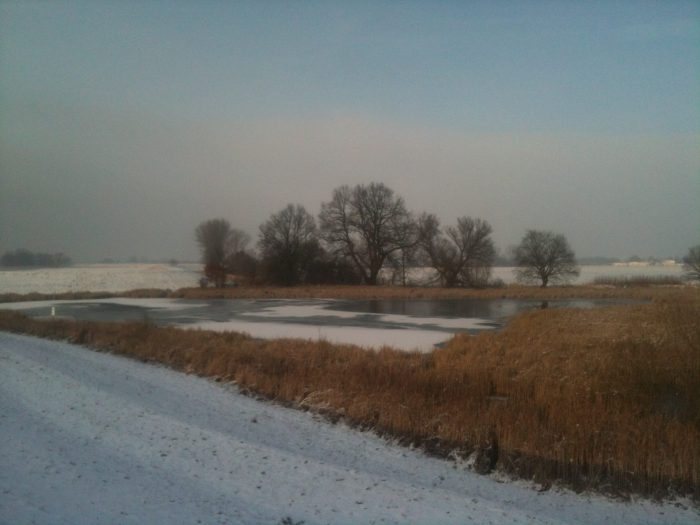 Bauernwiehl - Bild von Moto