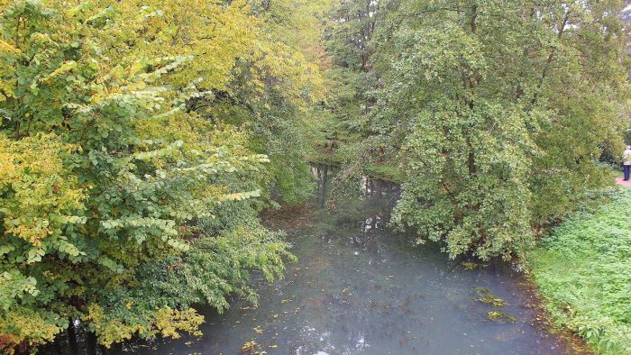 3 Waldteiche bei Reinsdorf - Gewässerbild noch gesucht