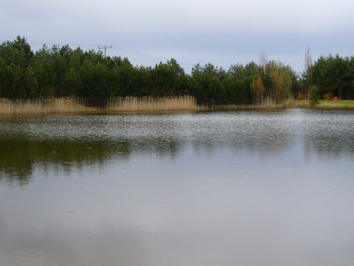 Kiesgrube Bernsdorf - Bild von dorschspezi