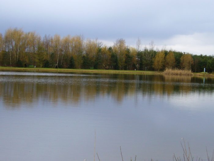 Kiesgrube Bernsdorf - Bild von dorschspezi