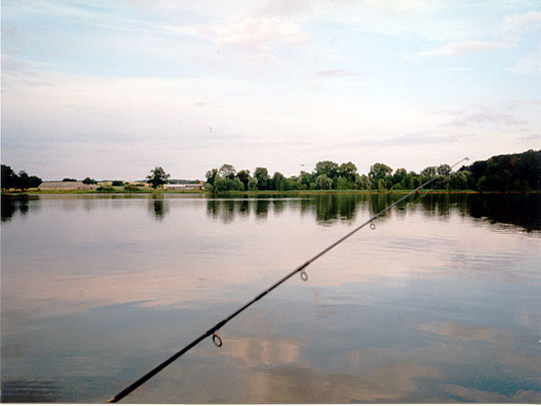 Klarer See bei Temmen - Bild von stadtangler