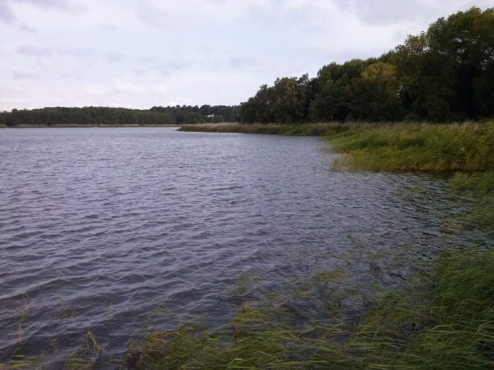 Kölpinsee bei Loddin - Bild von Holtenser