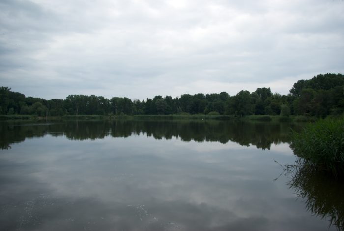 Malchower See - Bild von stadtangler