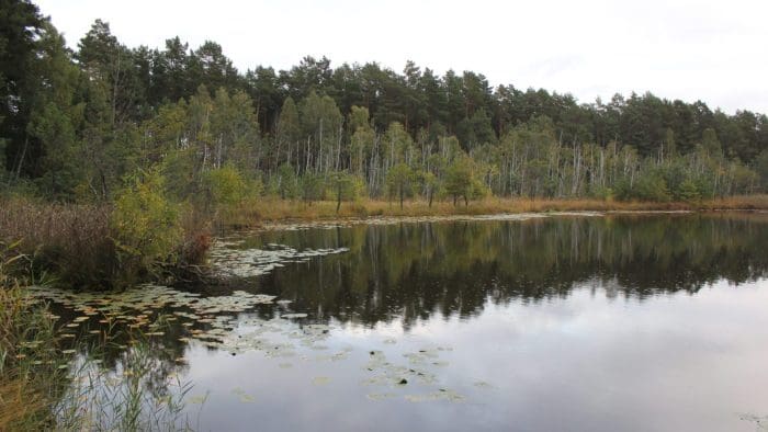 Großer Moorwischparksee - Gewässerbild noch gesucht