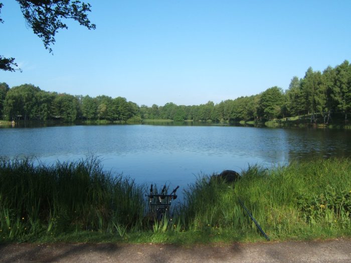 Attersee bei Osnabrück - Bild von der Däne