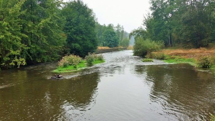 Teichanlage Tiefenbach - Gewässerbild noch gesucht