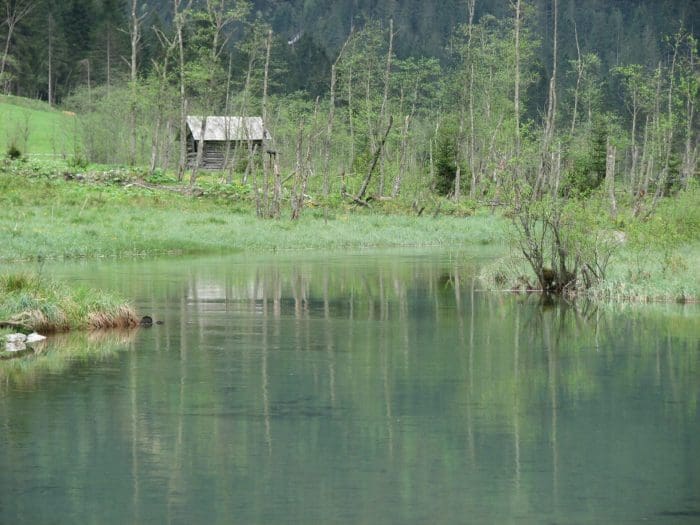 Großarler Ache - Bild von pearl