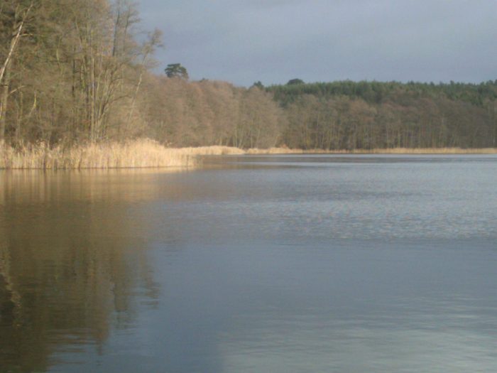 Großer Dölschsee - Bild von B. Zimmermann