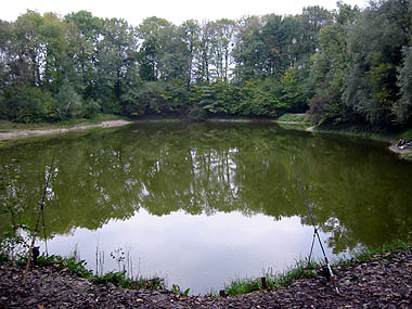 Lebererteich - Bild von obersalzach