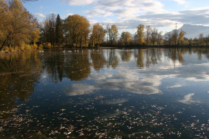 Salzachsee - Bild von obersalzach