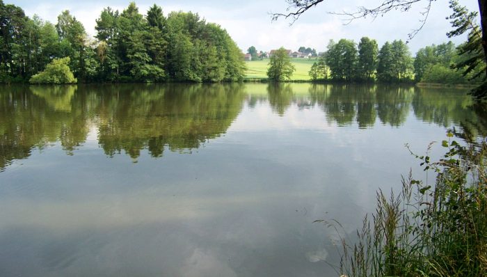 Seidlersreuther Weiher - Bild von theduke