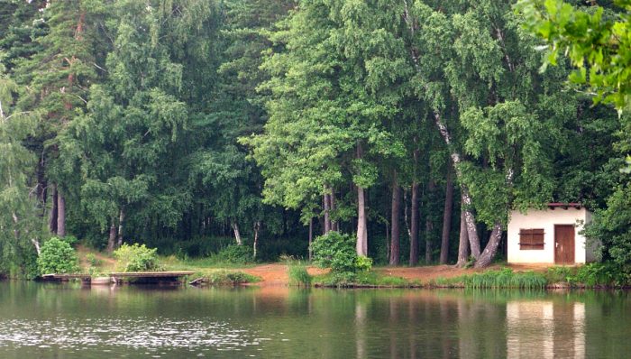 Seidlersreuther Weiher - Bild von theduke