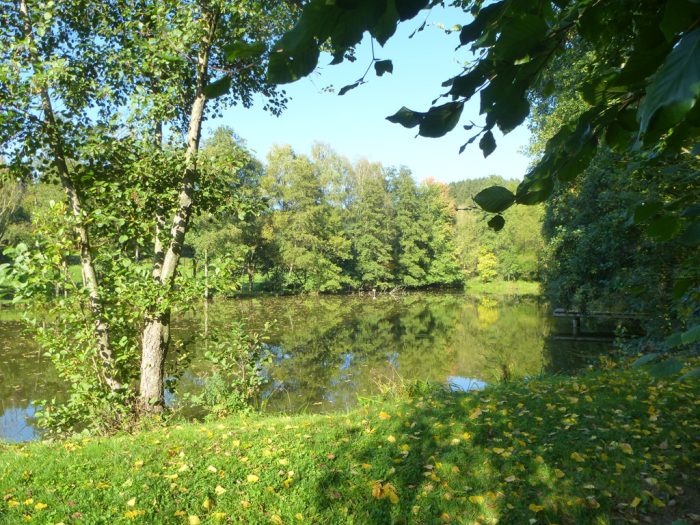 Weiher des ASF Alsweiler - Bild von Glemalux