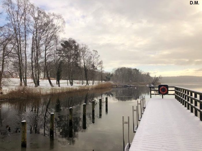 Kölpinsee bei Loddin - Gewässerbild von D.M.