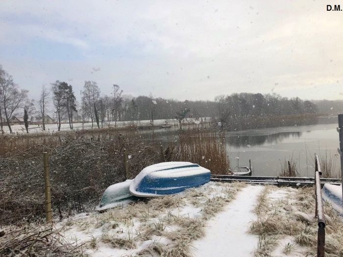 Kölpinsee bei Loddin - Gewässerbild von D.M.