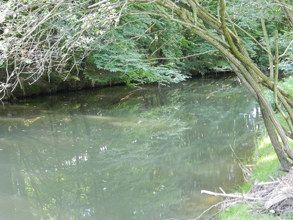 Löbauer Wasser bei Löbau - Bild von unserem User Epi99