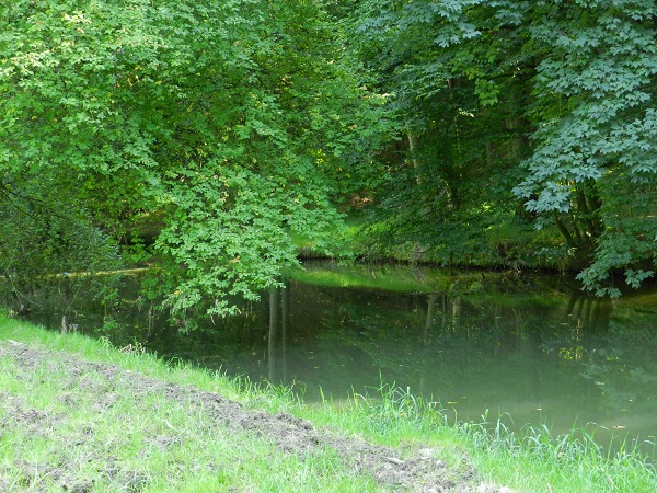 Löbauer Wasser bei Löbau - Bild von unserem User Epi99