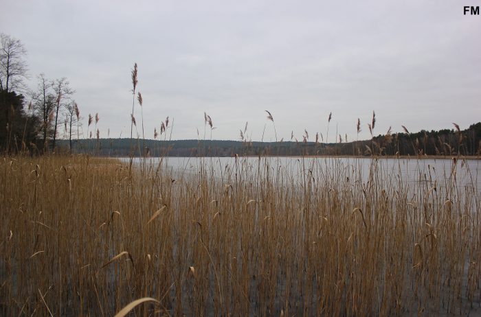 Großer Glubigsee - Bild von FM Henry