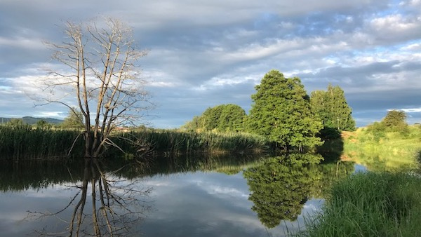 Wörnitz bei Weiltingen – Bild von Jens_FHP