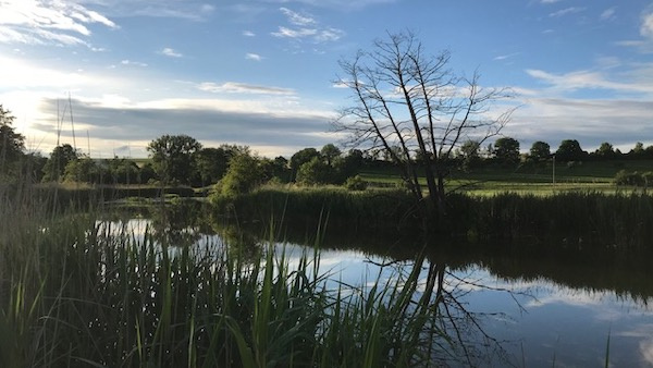 Wörnitz bei Weiltingen – Bild von Jens_FHP