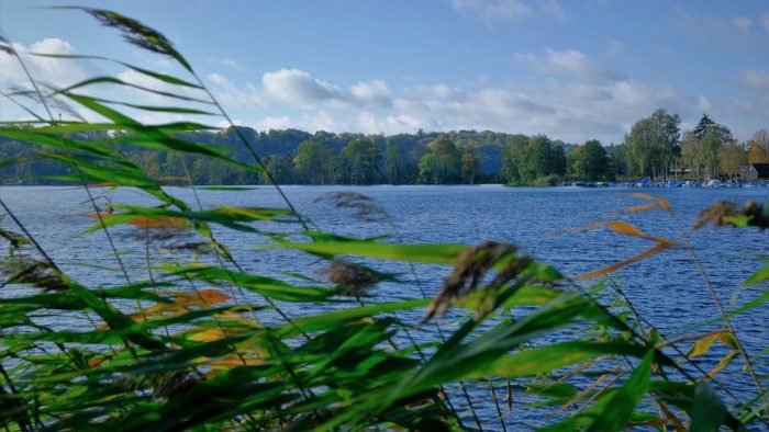 Küchensee bei Ratzeburg - Bild von pb