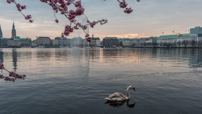 Binnenalster - Bild von pb