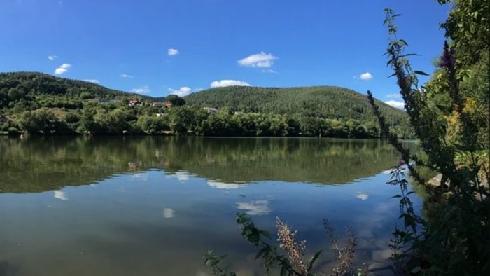 Main bei Rothenfels, Neustadt - Bild von pb