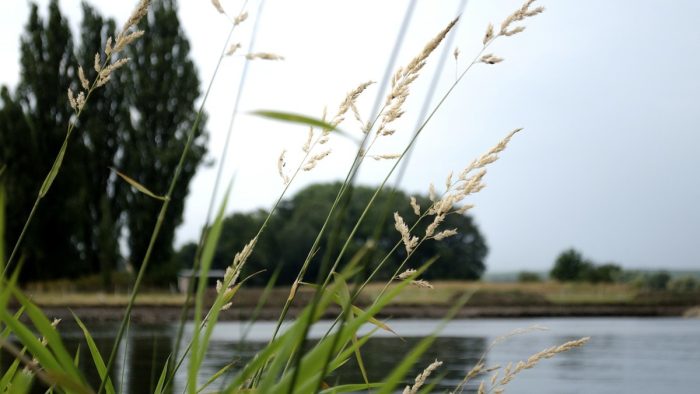 Main bei Schwarzach, Kitzingen, Sommerach - Bild von pb