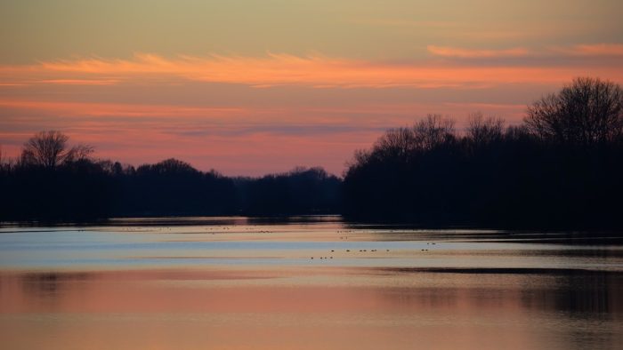 Untere Isar bei Landau - Bild von pb