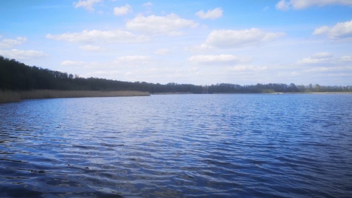 Groß Schauener See - Bild von t-low