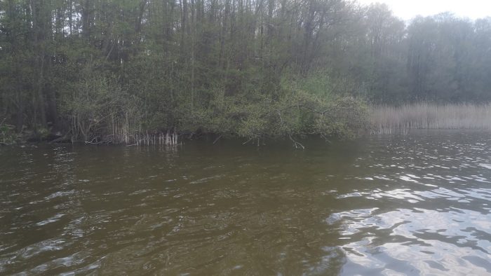 Groß Schauener See - Bild von t-low