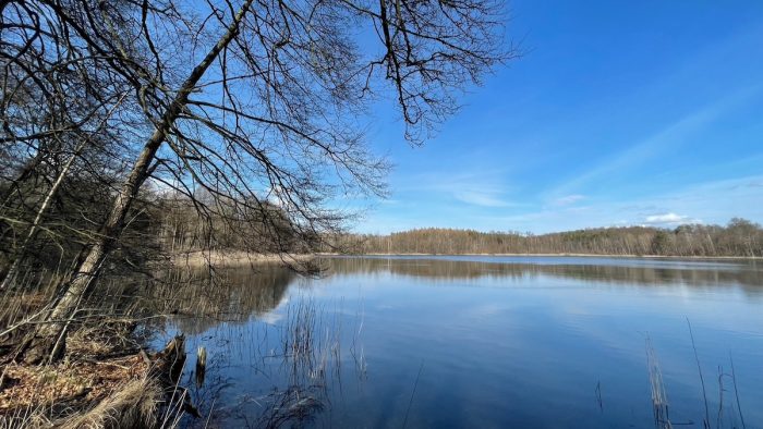 Krebssee bei Blumenholz Weisdin - Bild von Jens_FHP