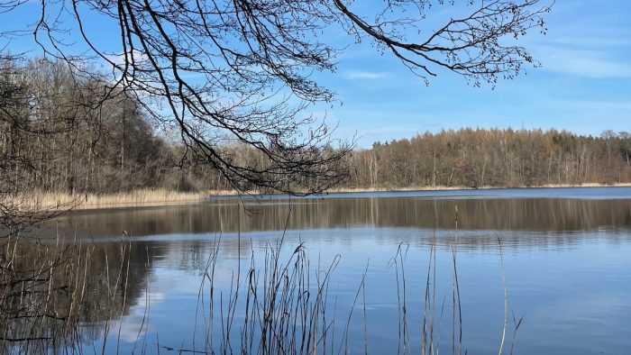 Krebssee bei Blumenholz Weisdin - Bild von Jens_FHP