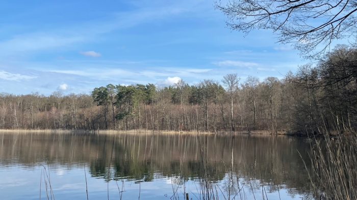 Krebssee bei Blumenholz Weisdin - Bild von Jens_FHP