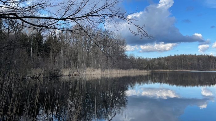 Krebssee bei Blumenholz Weisdin - Bild von Jens_FHP