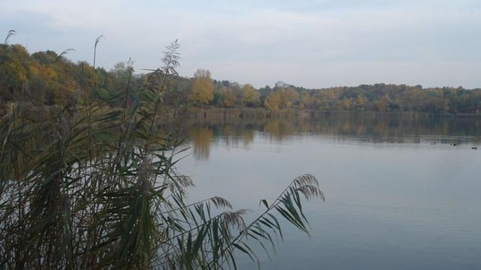 Wienerberger Teich - Bild von Robert Schediwy, CC BY-SA 4.0, via Wikimedia Commons, bearbeitet von fisch-hitparade.de