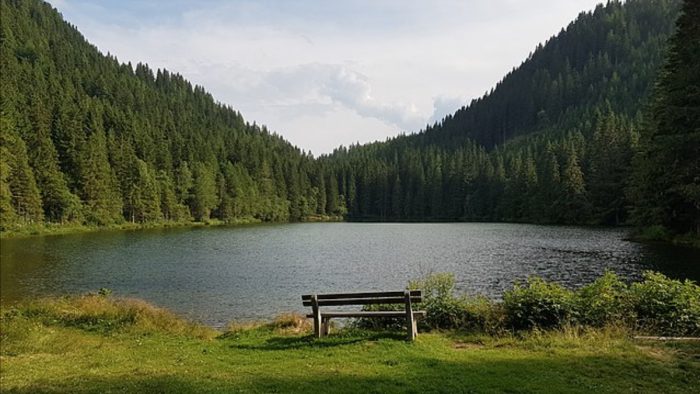 Auerlingsee – Bild von MakiWolf, CC BY-SA 4.0, via Wikimedia Commons, bearbeitet von fisch-hitparade.de