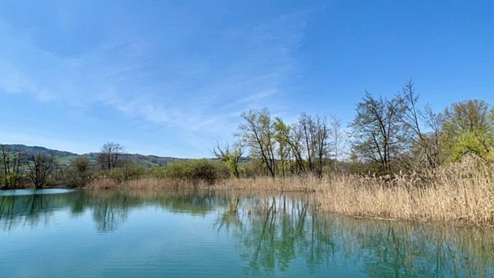 Hallwilersee – Bild von Adrian Michael, CC BY-SA 4.0, via Wikimedia Commons