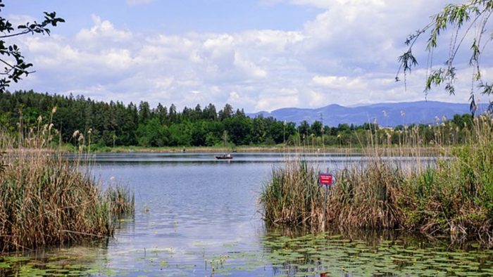 Kleinsee – Bild von Niki.L, CC BY-SA 4.0, via Wikimedia Commons