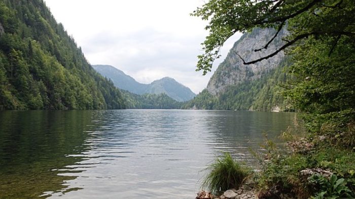 Toplitzsee – Bild von Tigerente, CC BY-SA 4.0, via Wikimedia Commons, bearbeitet von fisch-hitparade.de