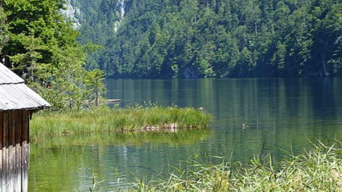 Toplitzsee – Bild von Stefan97, CC BY-SA 4.0, via Wikimedia Commons, bearbeitet von fisch-hitparade.de